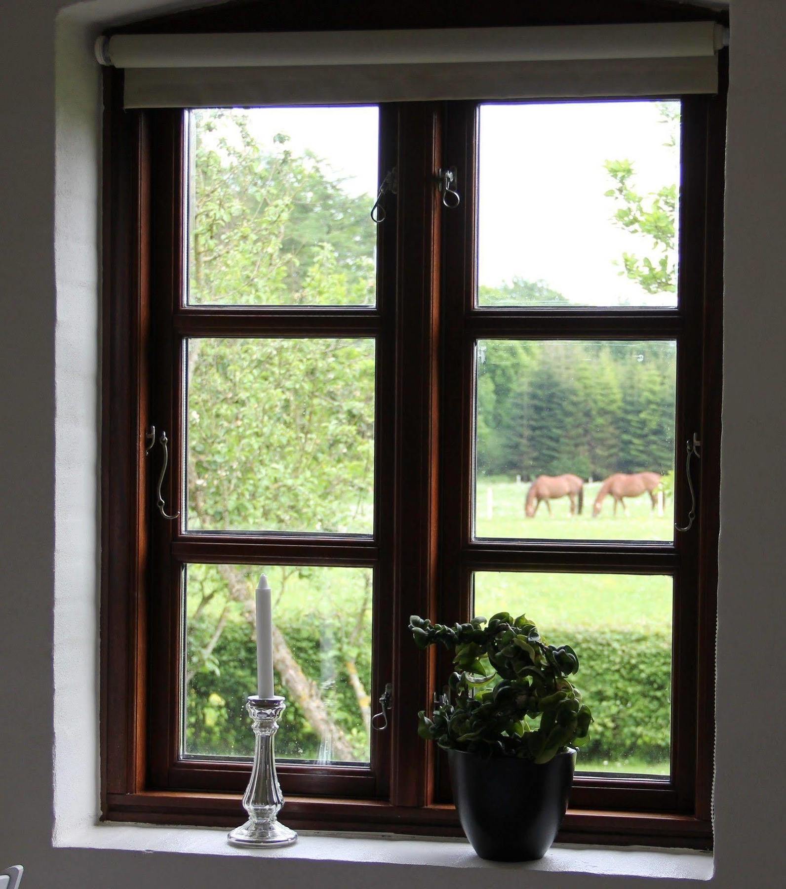 Munkebjerg Bed & Breakfast Børkop Exterior foto